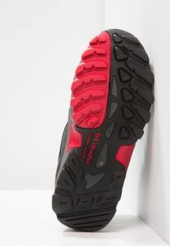 Columbia Meilleure qualité NEWTON RIDGE - Chaussures de marche randonnée unisex -Columbia Soldes Magasin 576eedf511024fdc82a37b8f32b1da83