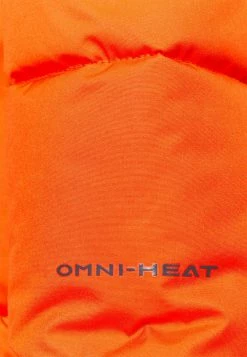 Bas Prix Columbia ICELINE RIDGE JACKET - Veste de ski vêtements ski alpin male -Columbia Soldes Magasin 631a88cb7c9c41d59d62a0bf833efa53