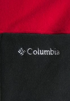 Columbia LODGE™ FLEECE CREW - Sweat polaire Prix Dégriffé vêtements randonnée male -Columbia Soldes Magasin 660cad691f1848f0abcbed76e7beeebb