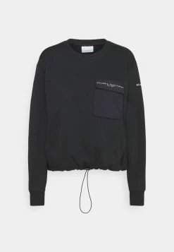 Columbia LODGE III CREW - Sweatshirt Prix Avantageux vêtements randonnée female