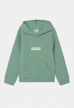 Columbia PARK™ HOODIE UNISEX - Sweatshirt Soldes vêtements randonnée -Columbia Soldes Magasin cbb6416b7d07432186f239f45f50bc99