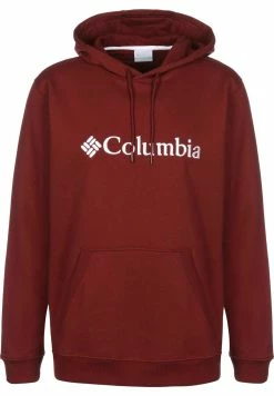 Columbia BASIC LOGO™ II HOODIE - Sweat à capuche Prix Gelé vêtements &eacute;lastiqu&eacute;e male -Columbia Soldes Magasin dc56441301e84d328d35098f15cf409c 2